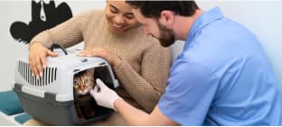 ADUS Ayurvedic pet shampoo and conditioner