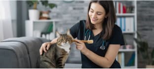 ADUS free online grooming tutorials